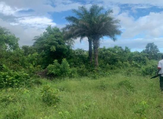 Terrain à vendre – 250 m² à Cap Skirring