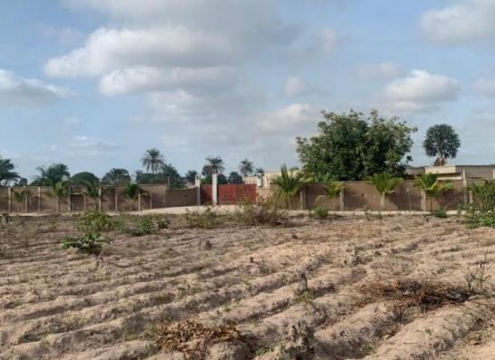 Terrain à vendre – 400 m² à Cap Skirring (Route de l’Hôtel Maya)