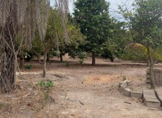 À vendre – Verger + Maison à Abéné (Kafountine)