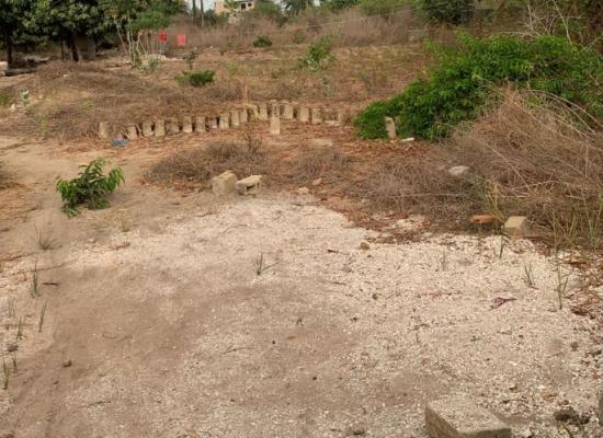 Terrain à vendre – 300 m² sur la route Cap Skirring – Boucotte (près de Chez José)