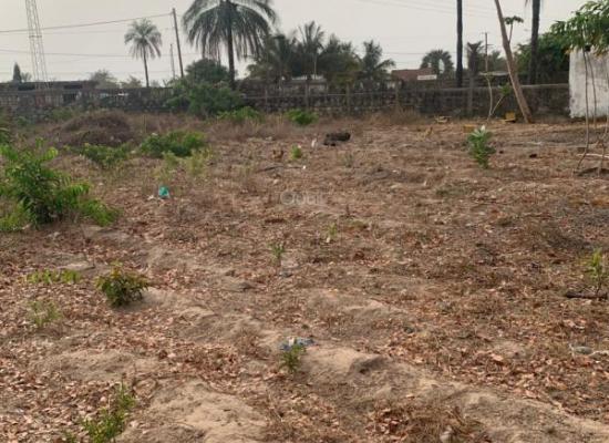 Terrain à vendre – 250 m² sur la route Cap Skirring – Boucotte (après Chez José)