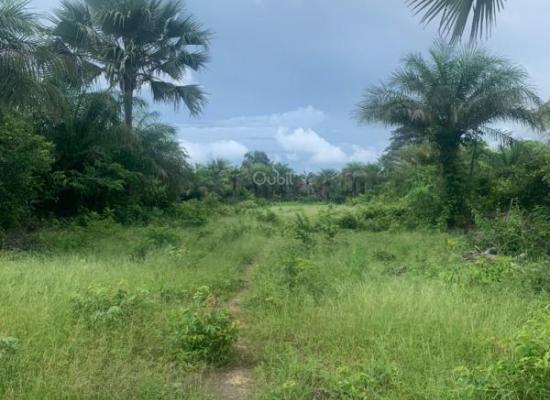 Terrain à vendre – 420 m² sur la route Cap Skirring – Boucotte