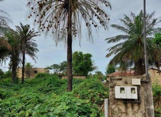  Terrain 18x30 m² à Cap Skirring – Khelkom, calme et bien situé, avec double accès