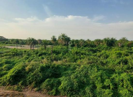 Terrain de 300 m² à vendre – Proche de la Casamancaise, accessible et viabilisé