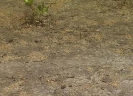 Terrain à vendre Toubab Dialaw 