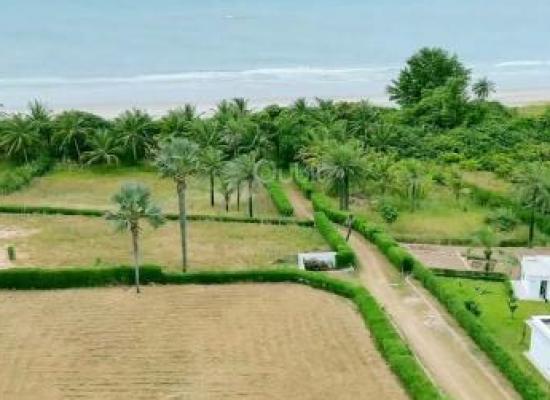 À vendre : magnifique terrain de 760 m² situé à Cap Skirring lot 18a
