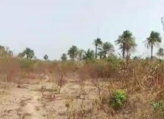  Parcelle à céder à Maya