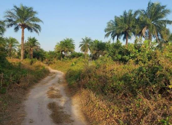 Terrain de 2 500 m² à vendre à Cap Skiring – Cité Baobab