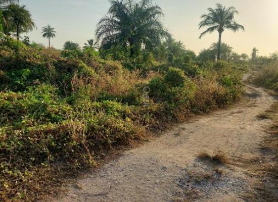 Terrain à vendre à Cap Skirring – Baobab City, entre nature et sérénité